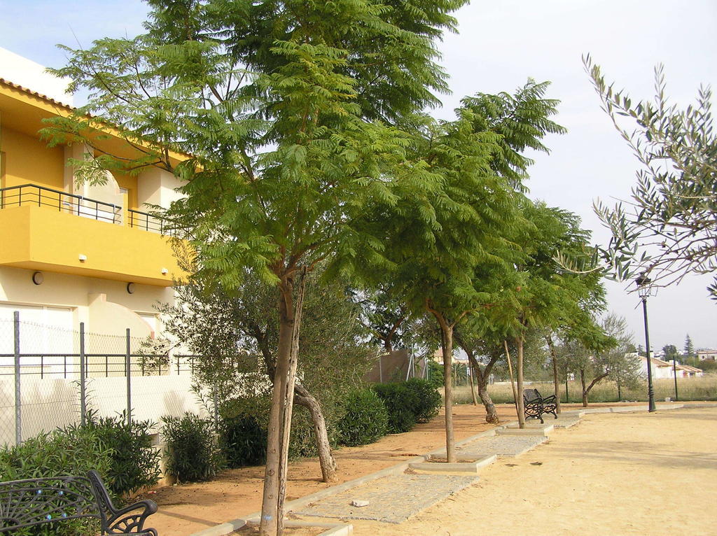 Apartamentos Turisticos Los Girasoles Espartinas Eksteriør billede
